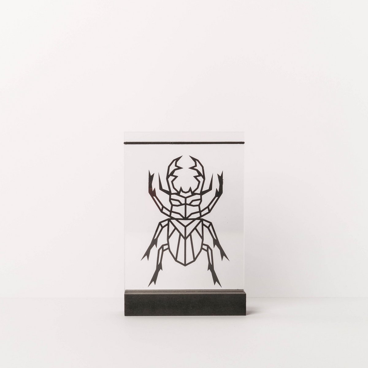 Dried Flower Holder