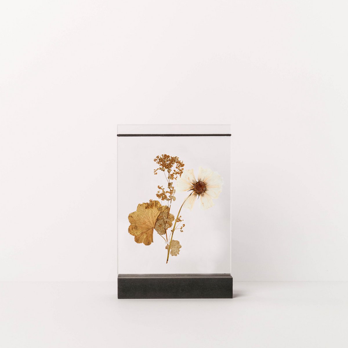 Dried Flower Holder