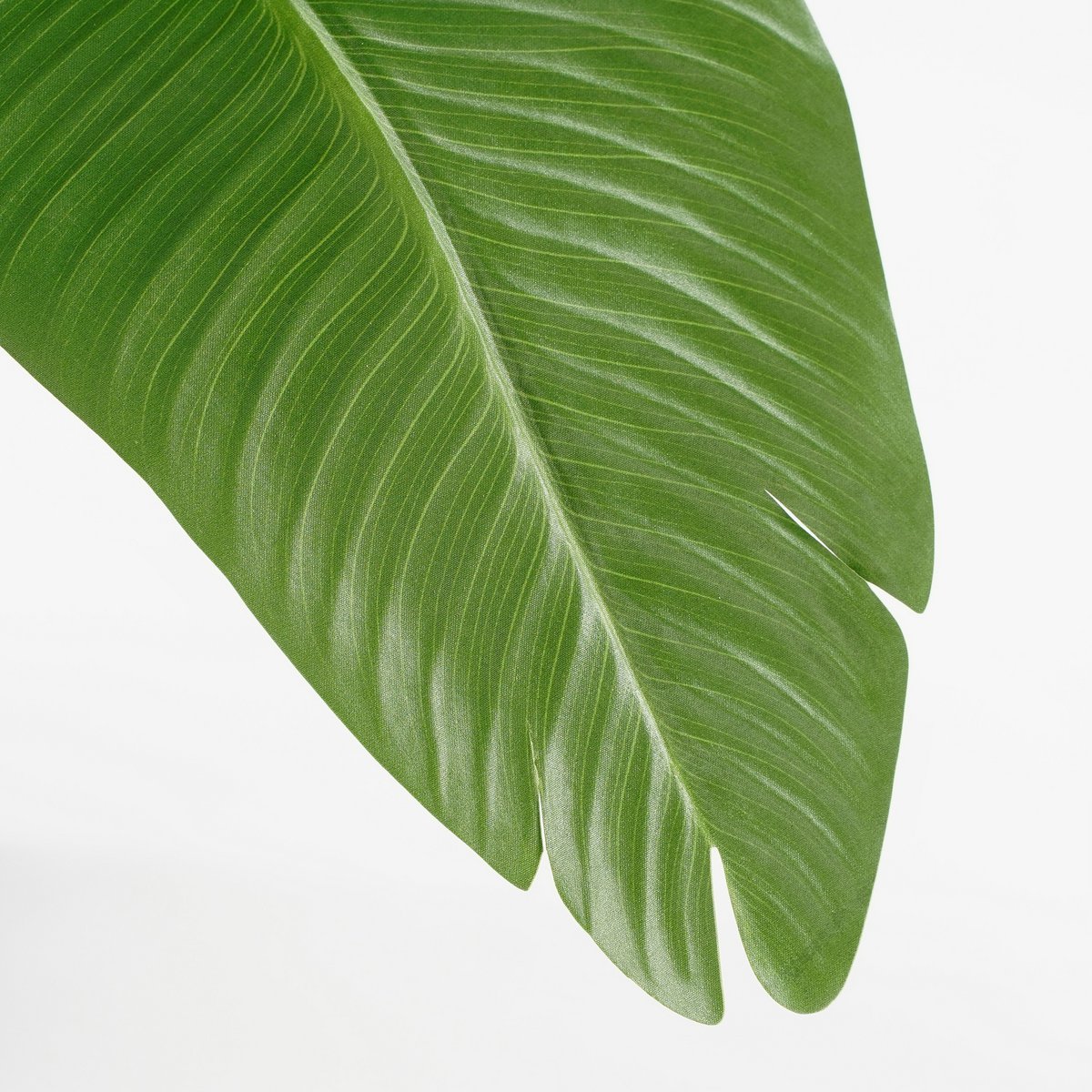 Kunstplant Bananenboom - H120 x Ø30 - Groen