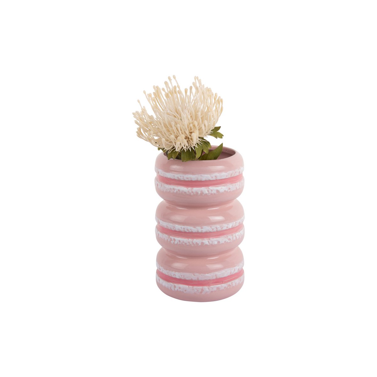 Vaas Macaron