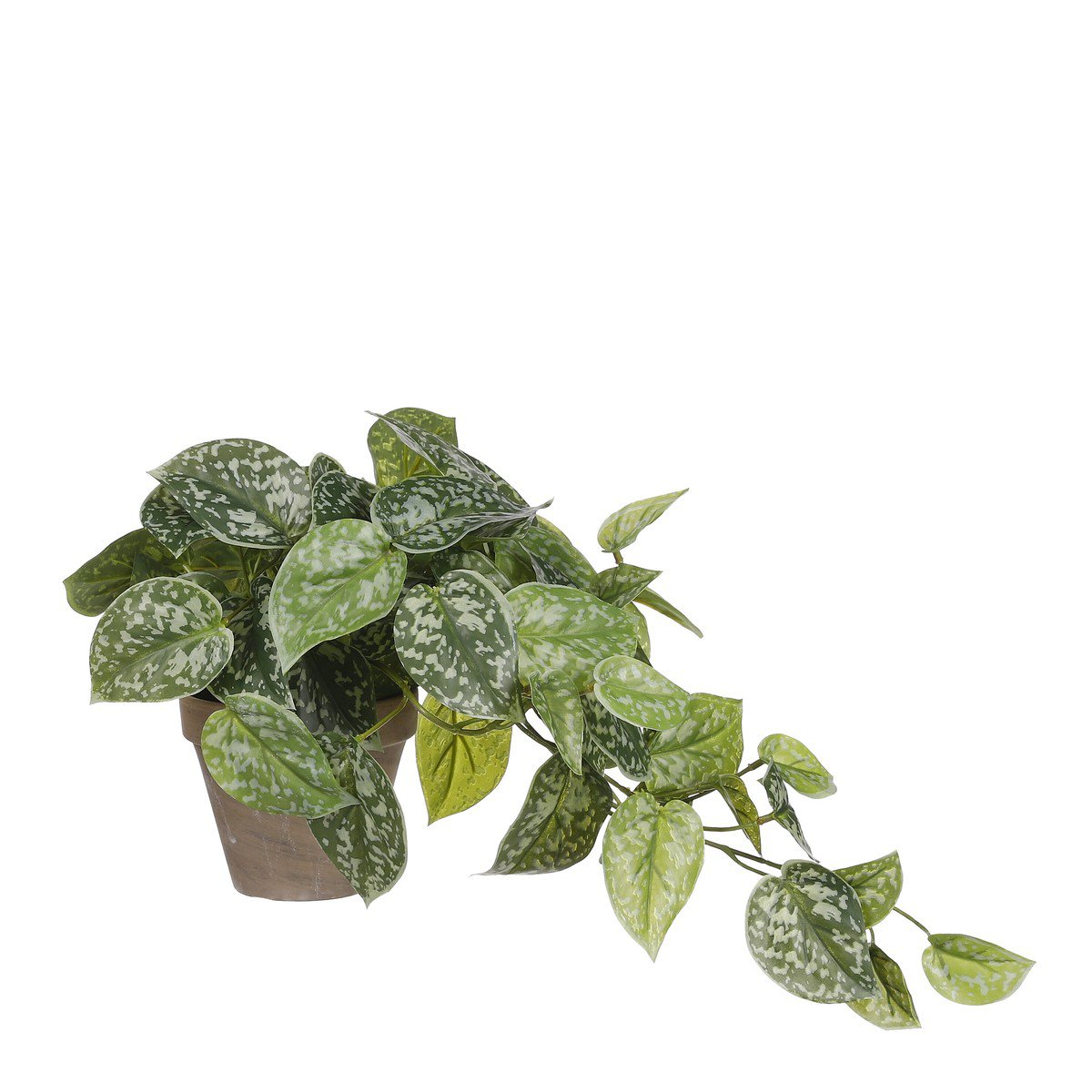 Kunstplant Scindapsus Groen