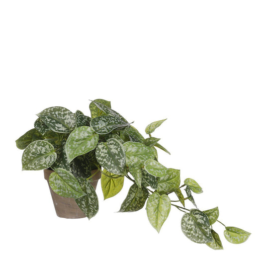 Kunstplant Scindapsus Groen