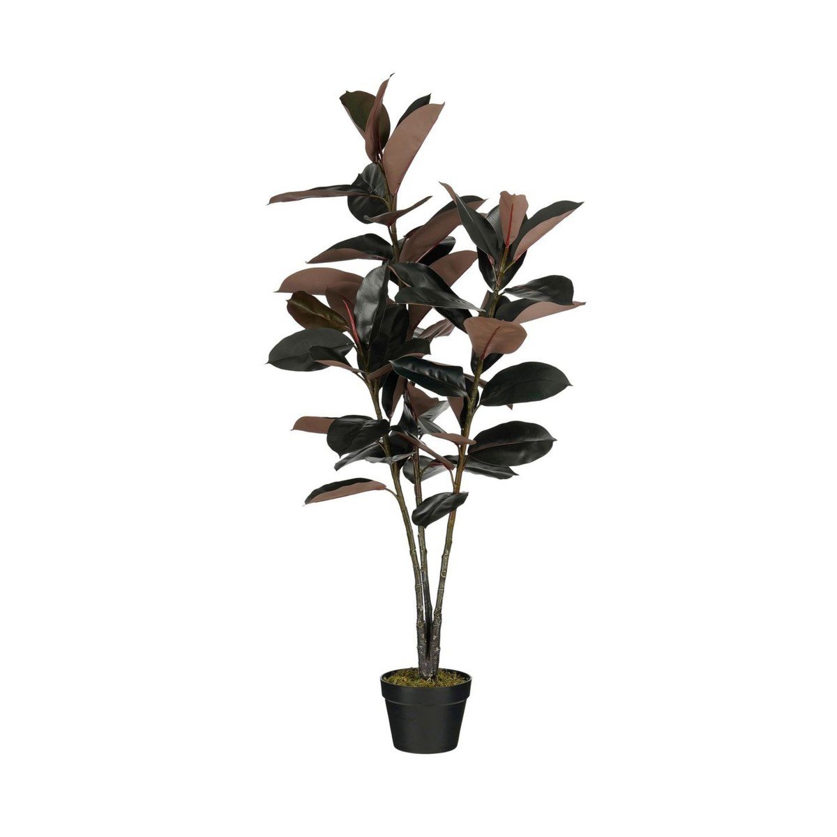Kunstplant Rubberplant Rood