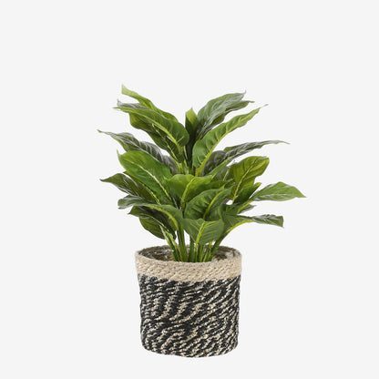 Kunstplant Evergreen Groen