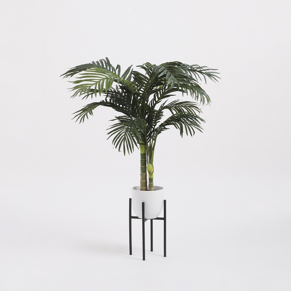 Plantenstandaard Ascot Zwart