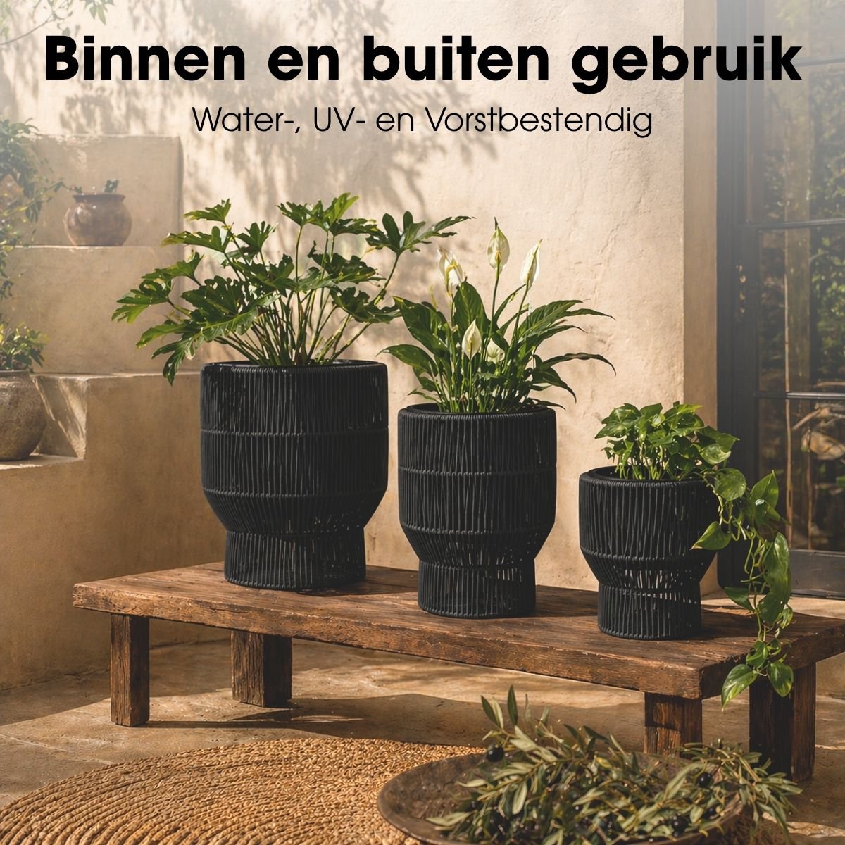 Bloempot Buiten Peta Zwart