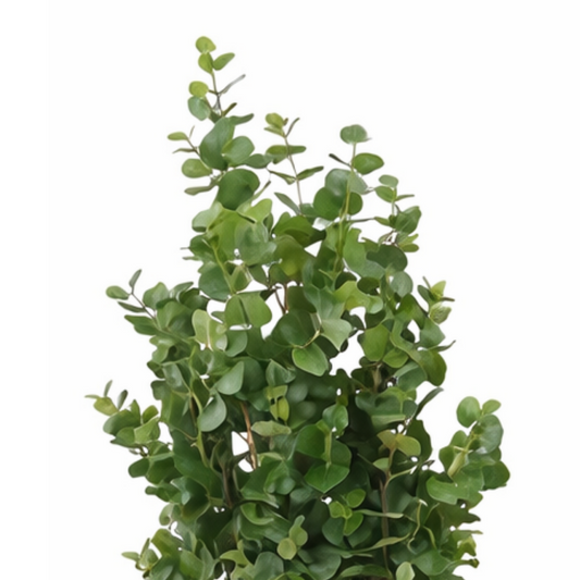 Kunstplant Eucalyptusboom Groen