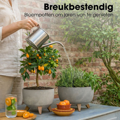 Plantenbak Doppio Grijs
