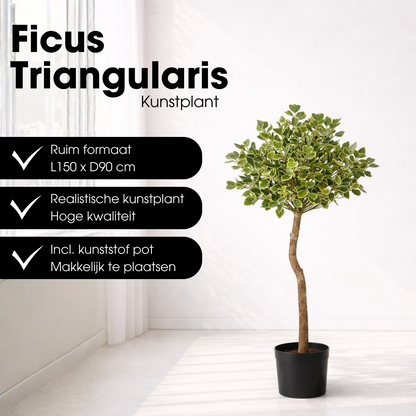 Kunstplant Ficus Groen