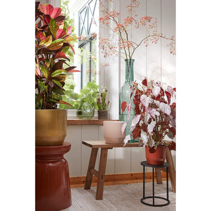 Decoratieve Fles Rioja Transparant