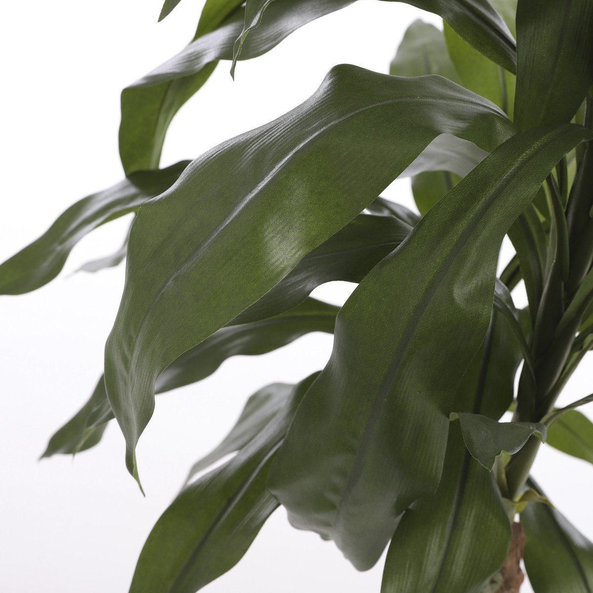 Kunstplant Dracaena Groen