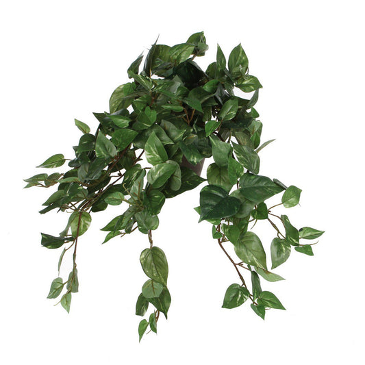 Kunstplant Scindapsus Hanging Groen