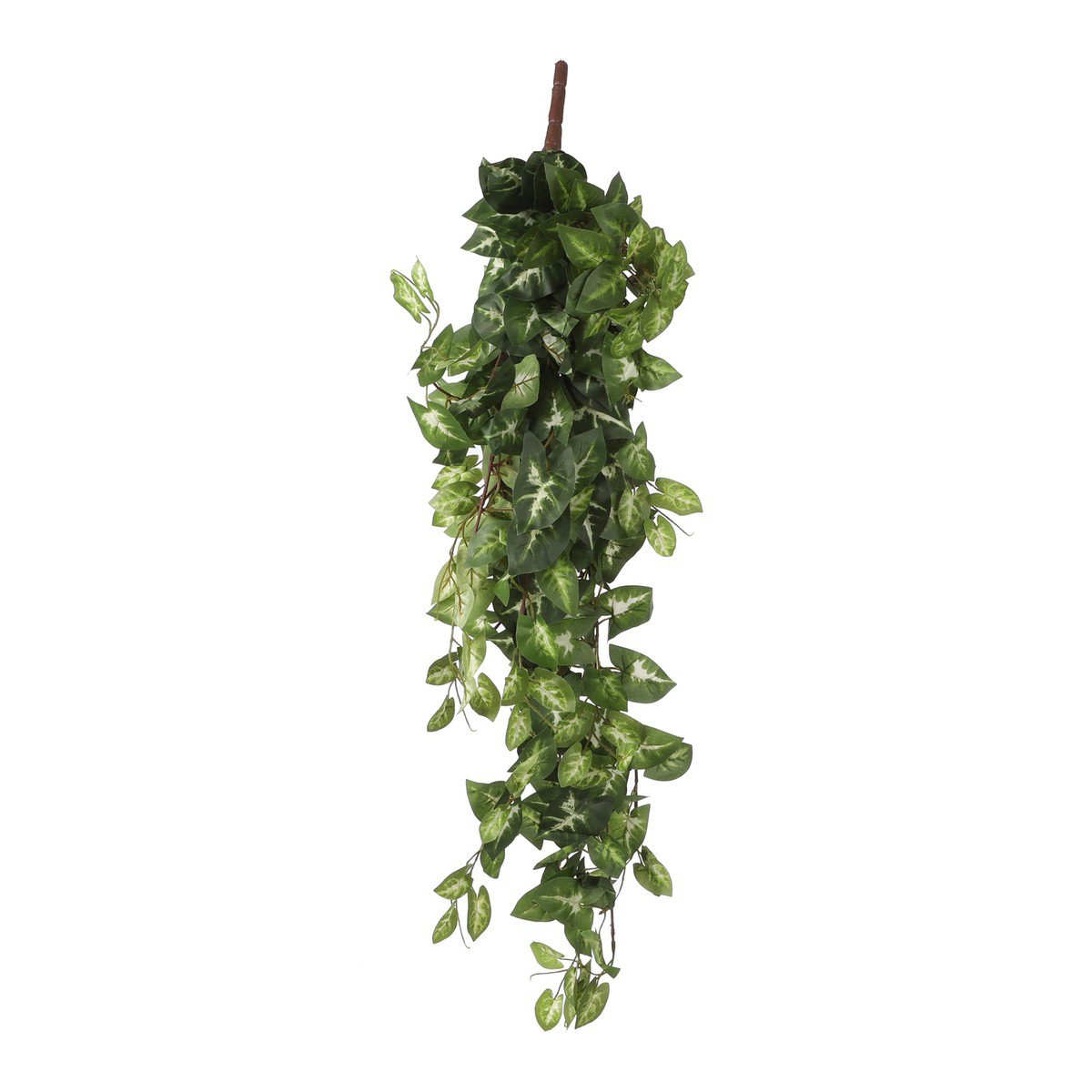 Kunstplant Fittonia Groen