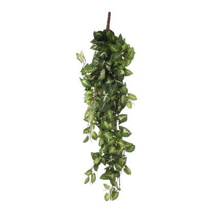 Kunstplant Fittonia Groen