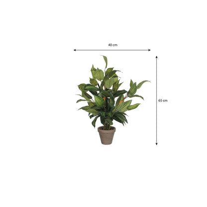 Kunstplant Hosta Groen