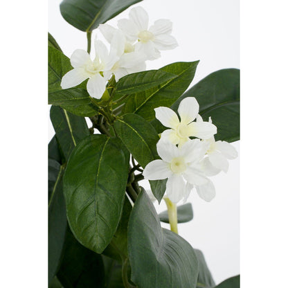 Kunstplant Stephanotis Wit