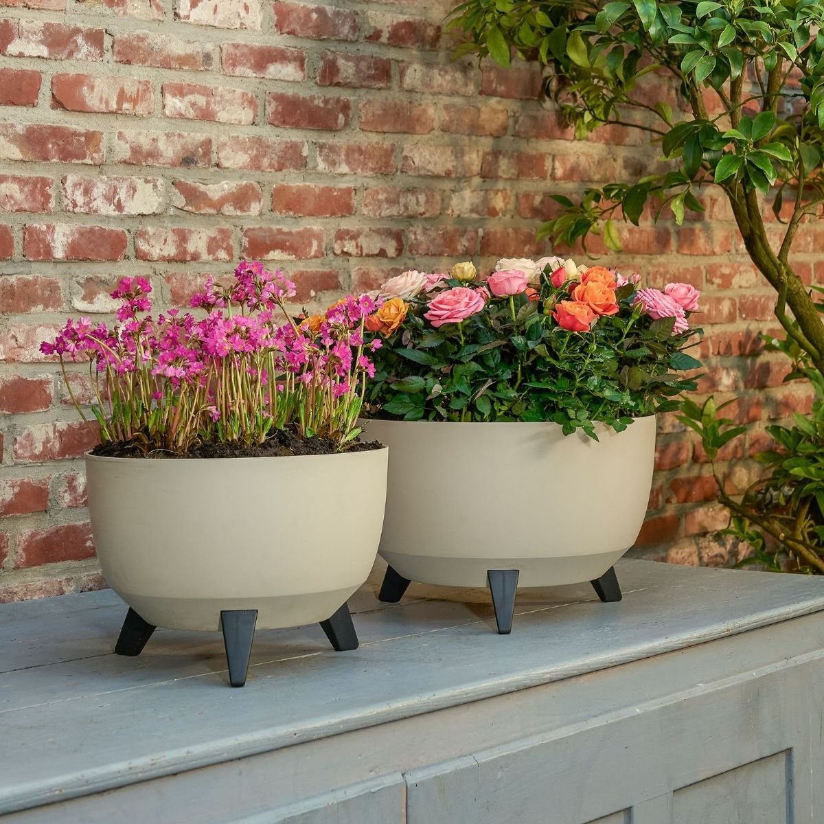 Plantenbak Doppio Beige