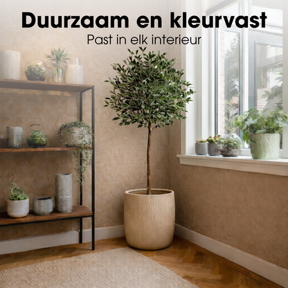 Kunstplant Ficus Groen