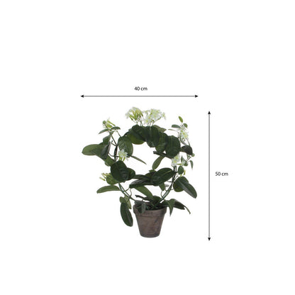 Kunstplant Stephanotis Wit