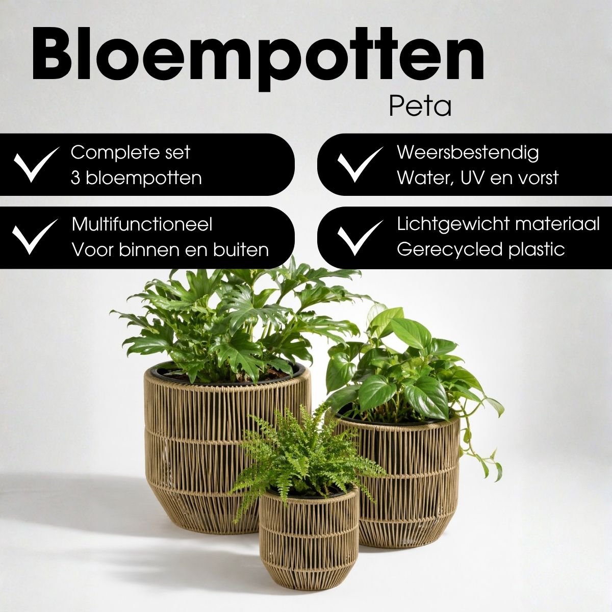 Bloempot Buiten Peta Groen