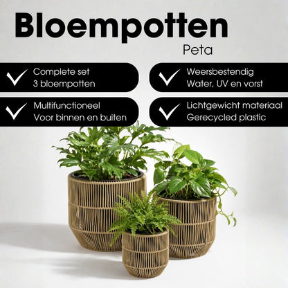 Bloempot Buiten Peta Groen