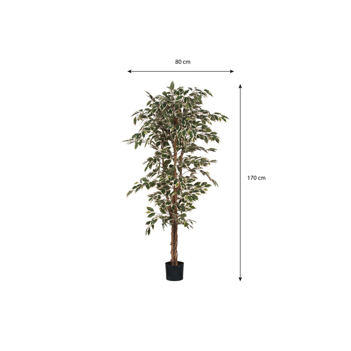 Kunstplant Ficus Groen