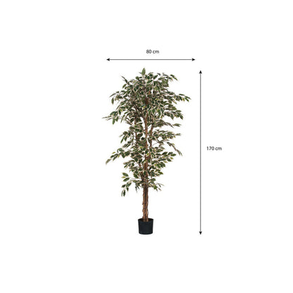 Kunstplant Ficus Groen