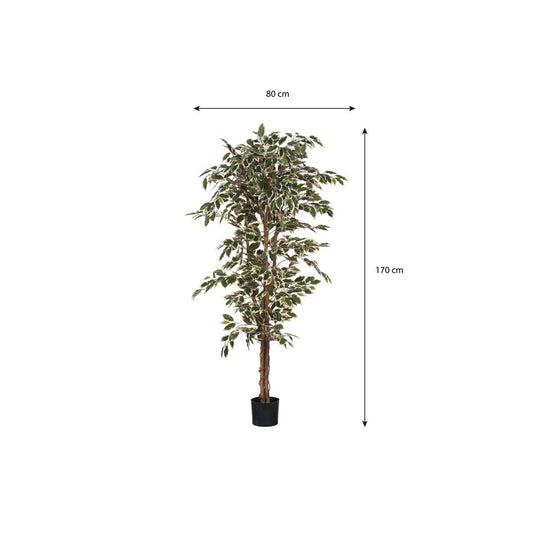 Kunstplant Ficus Groen