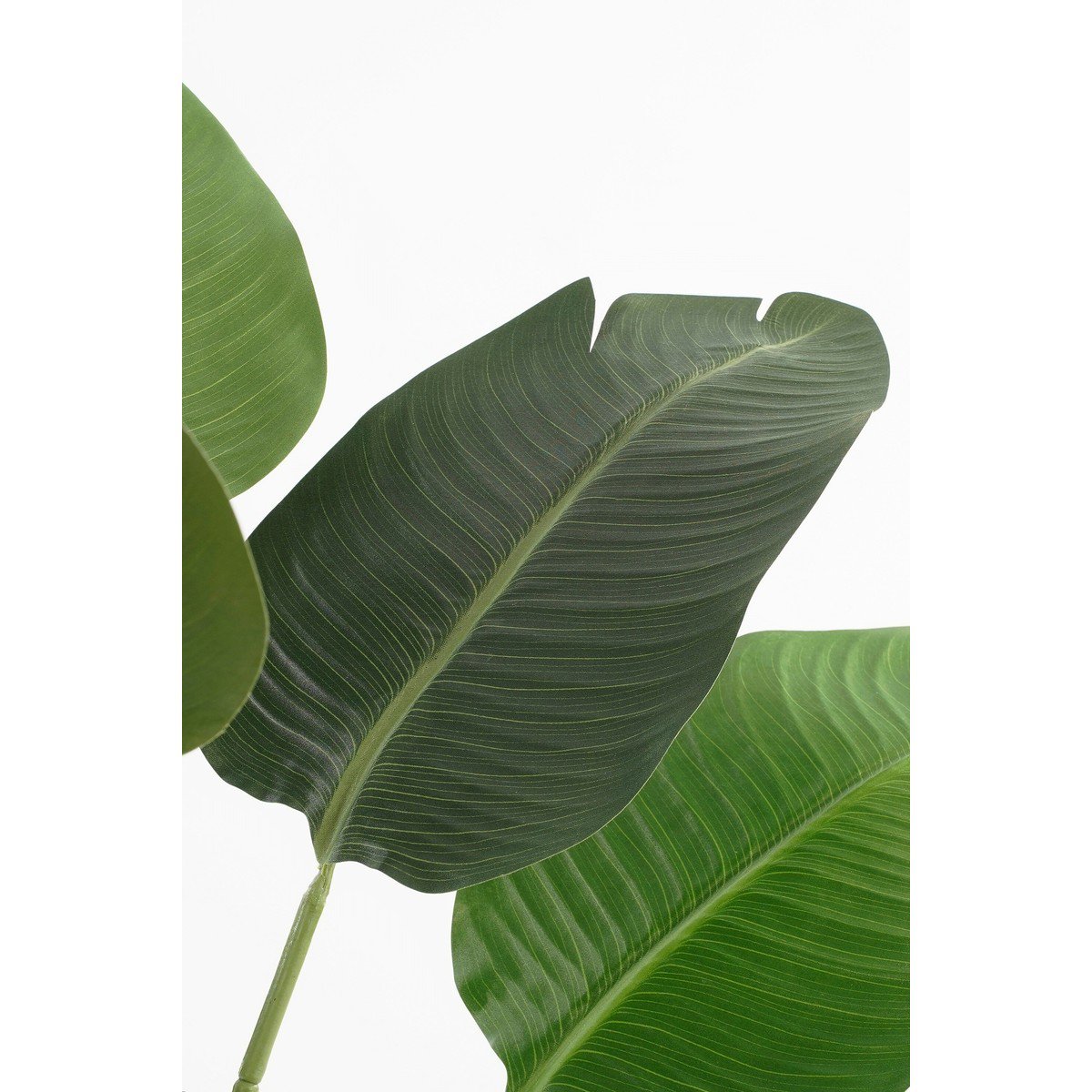 Kunstplant  Groen