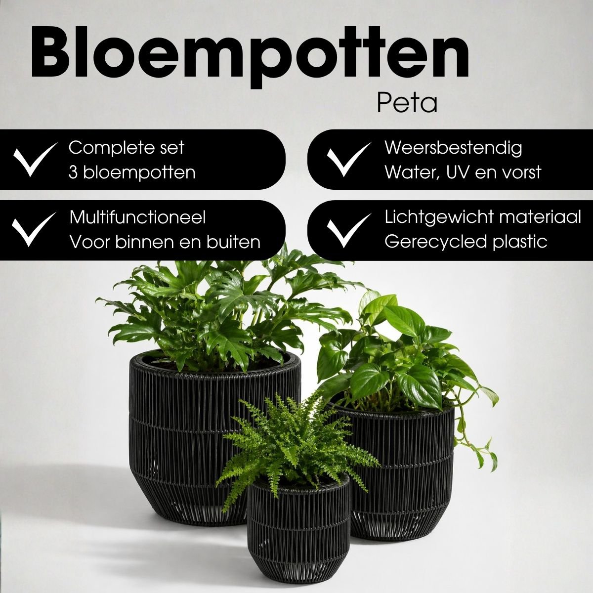 Bloempot Buiten Peta Zwart