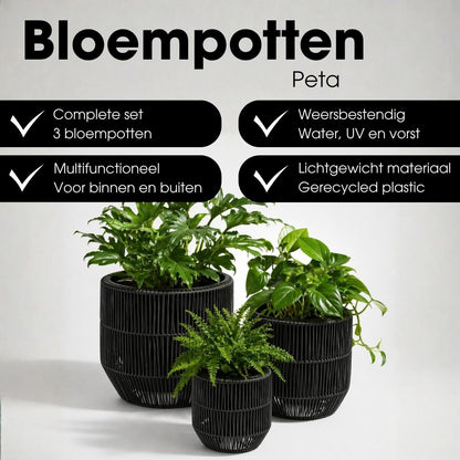 Bloempot Buiten Peta Zwart