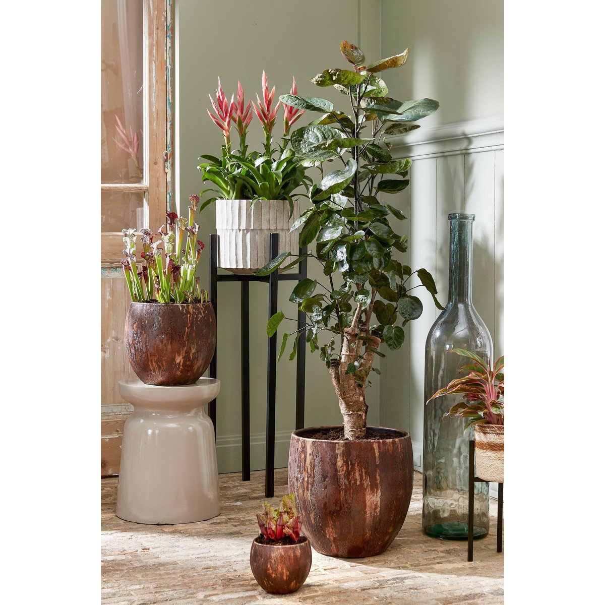Decoratieve Fles Rioja Transparant