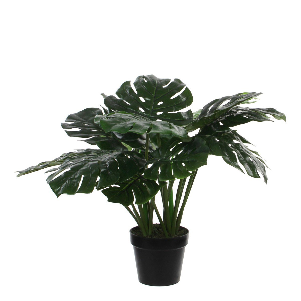 Kunstplant Monstera Groen