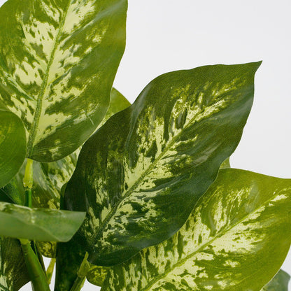 Kunstplant Dieffenbachia Groen