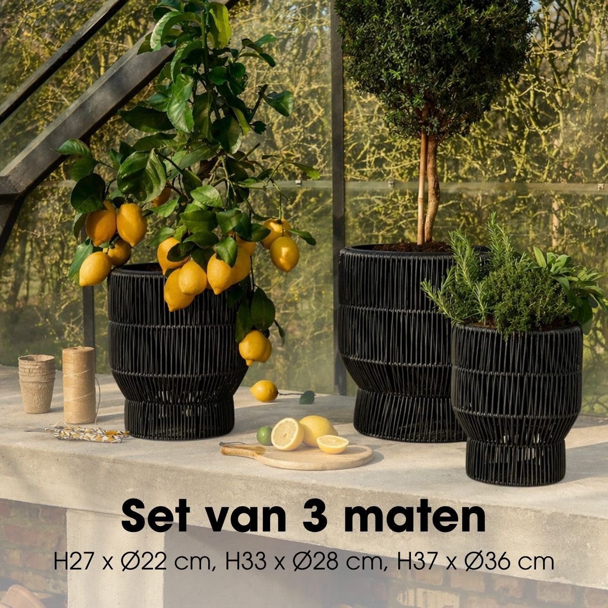 Bloempot Buiten Peta Zwart