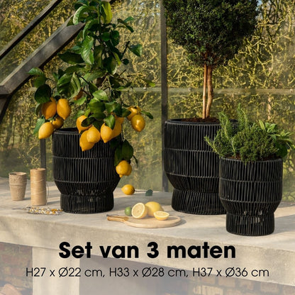 Bloempot Buiten Peta Zwart