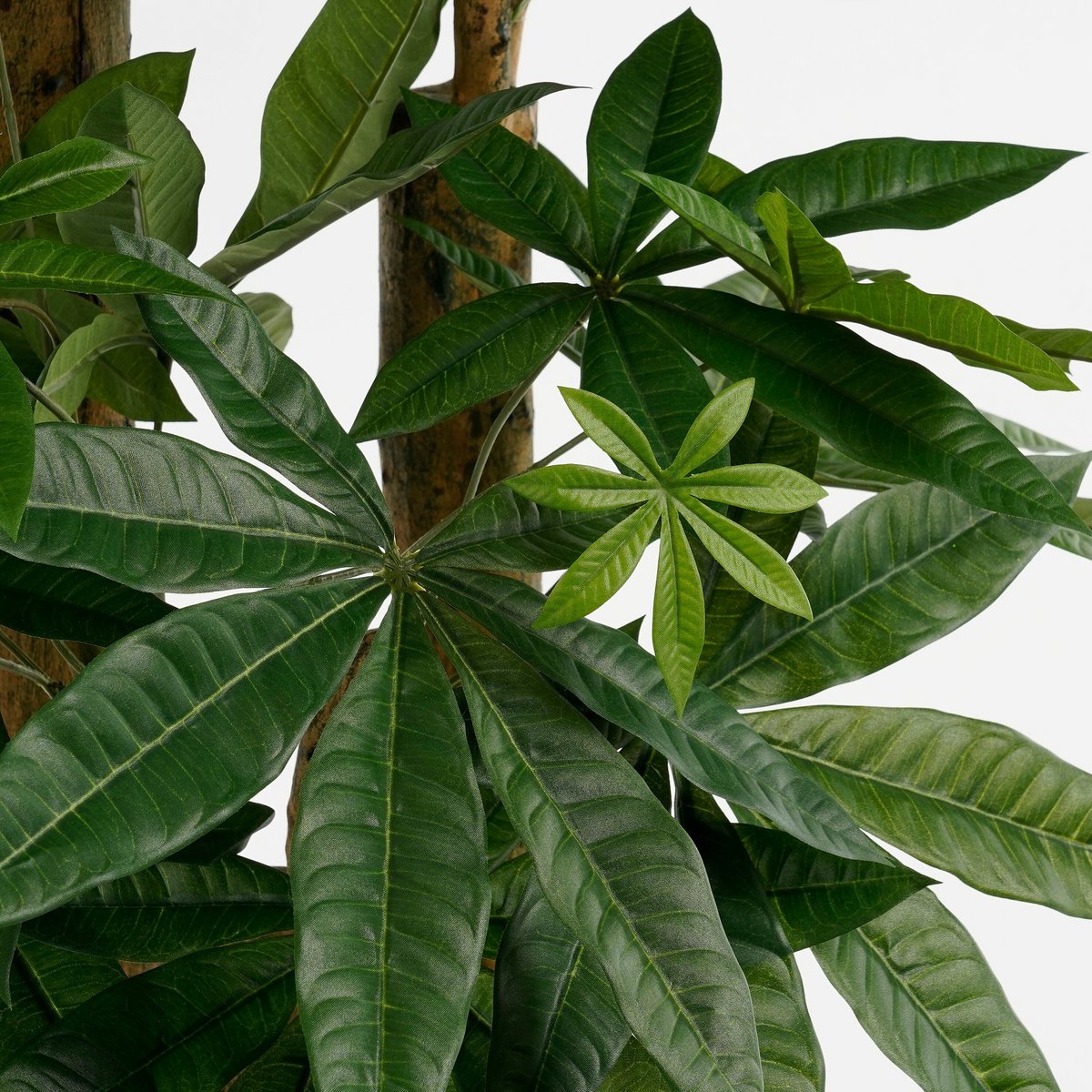 Kunstplant Pachira Groen