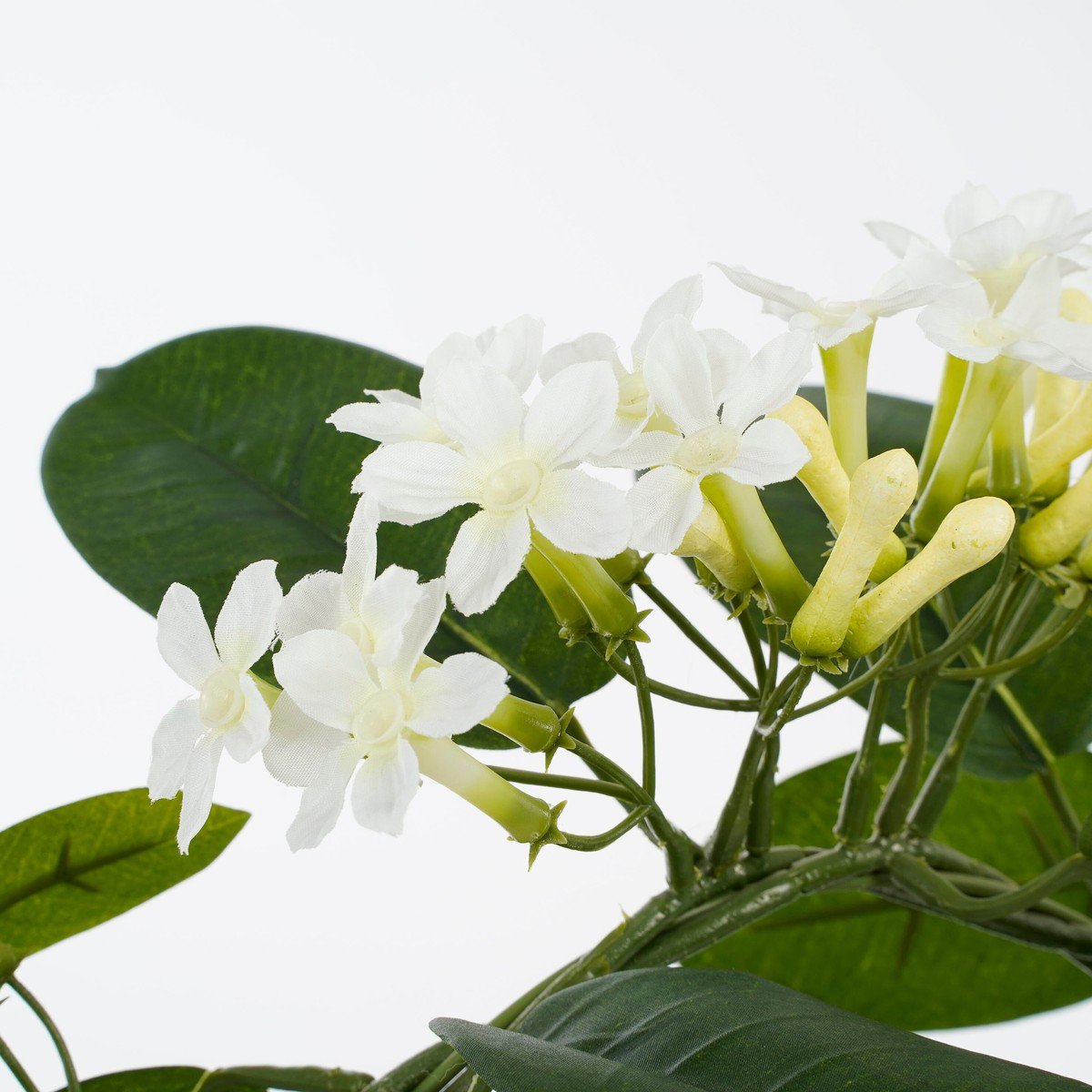 Kunstplant Stephanotis Wit