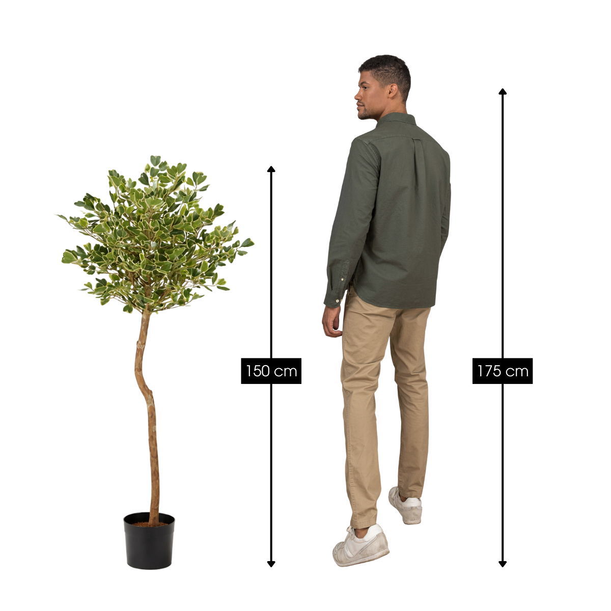 Kunstplant Ficus Groen