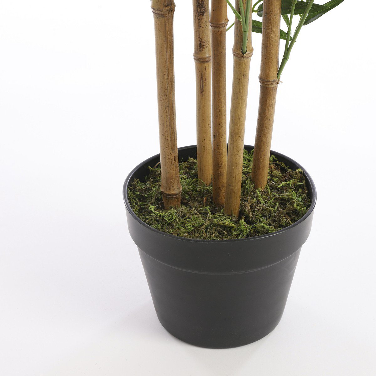 Kunstplant  Groen