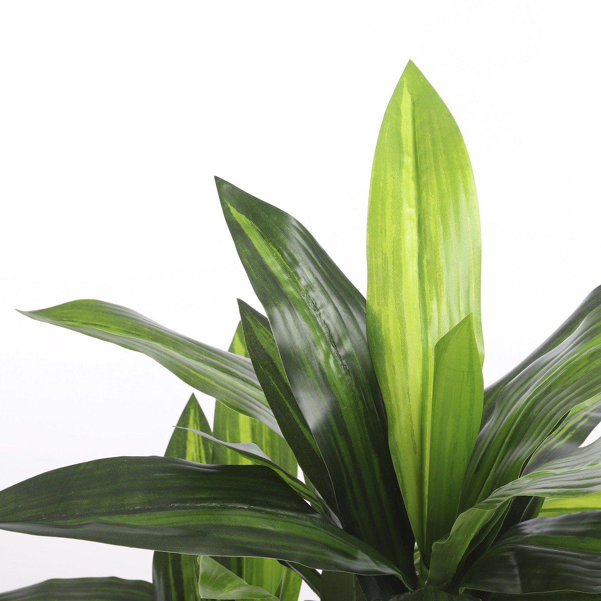 Kunstplant Dracaena Groen