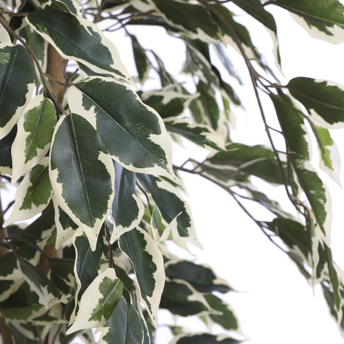 Kunstplant Ficus Groen