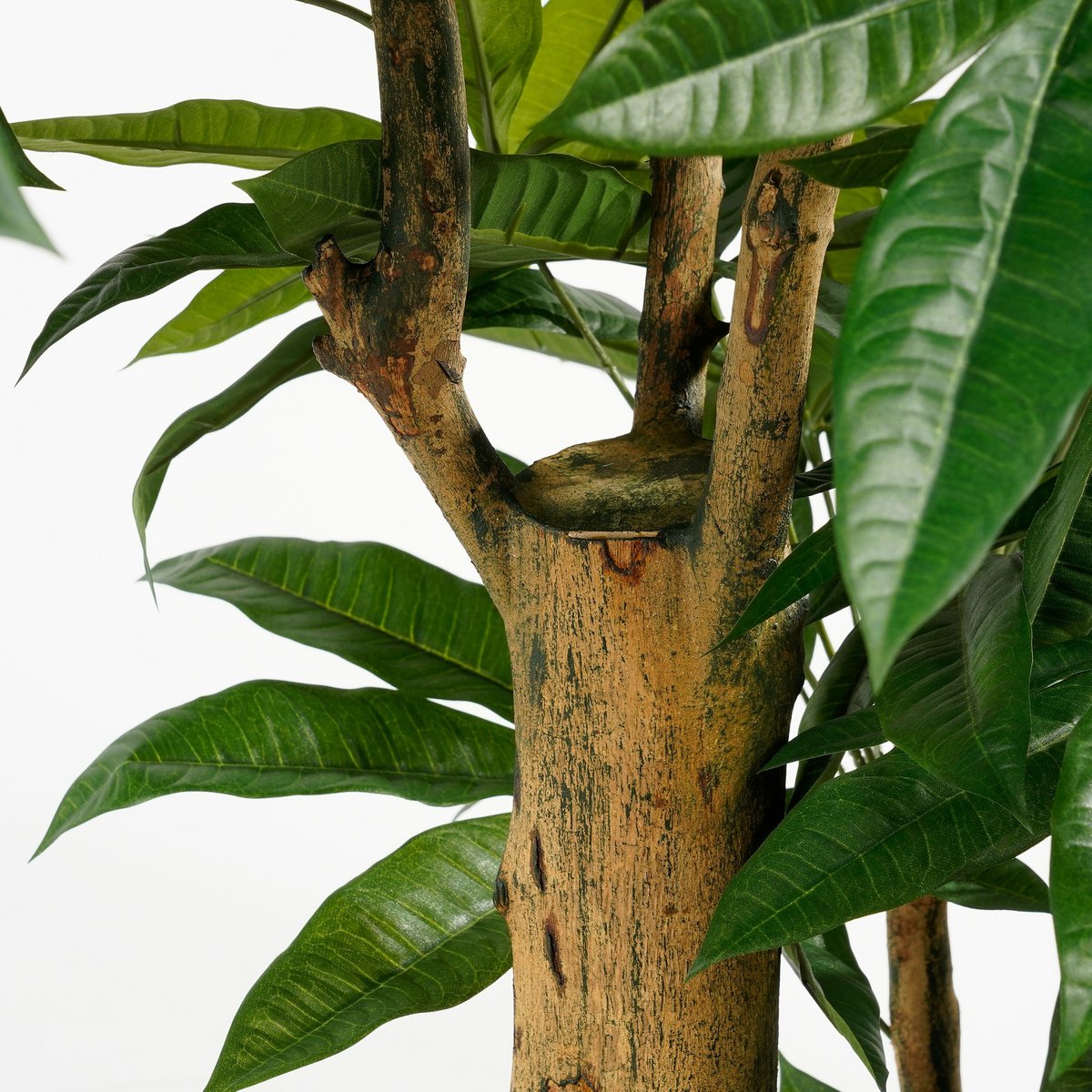 Kunstplant Pachira Groen