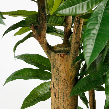 Kunstplant Pachira Groen