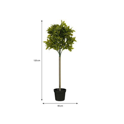Kunstplant Laurel Groen