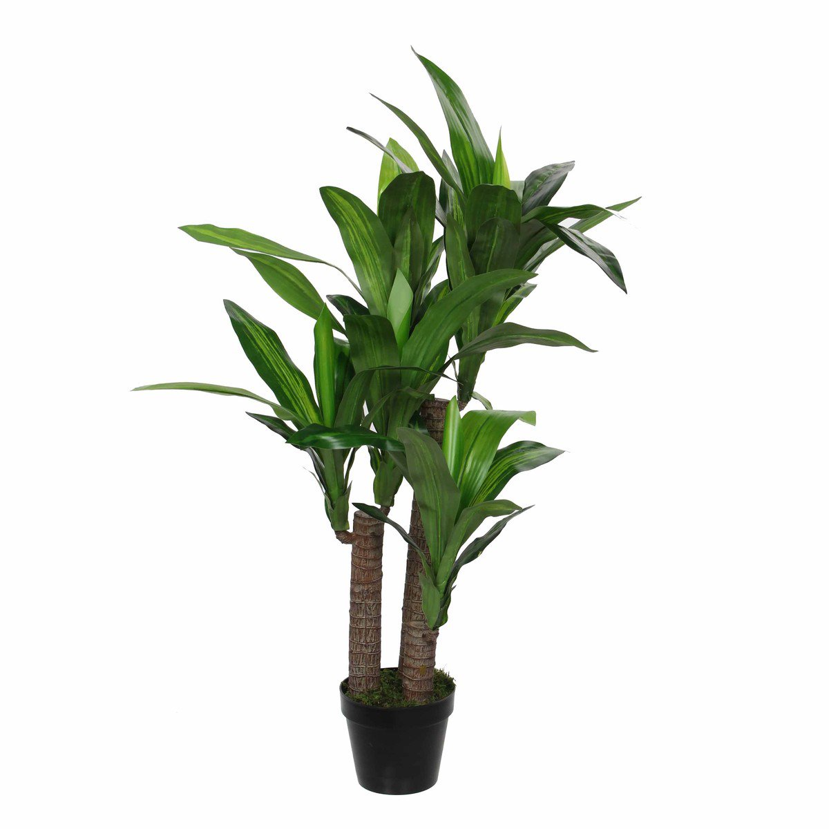 Kunstplant Dracaena Groen