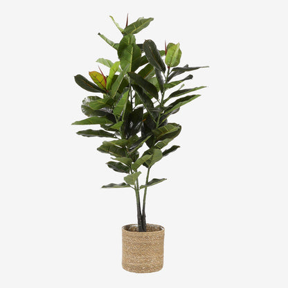 Plantenbak Atlantic Lichtbruin