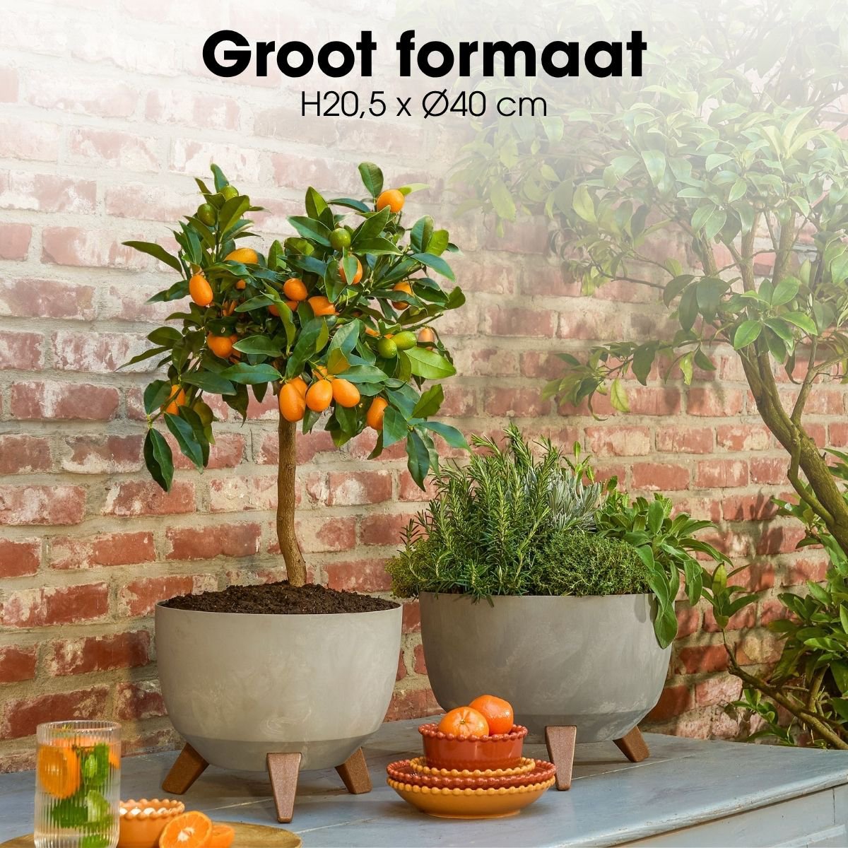 Plantenbak Doppio Grijs