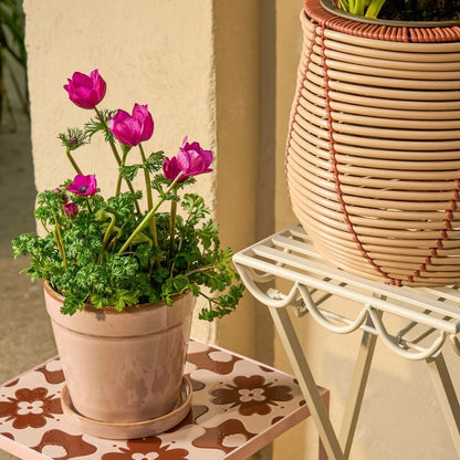Plantentafel Rosalie Gebroken Wit
