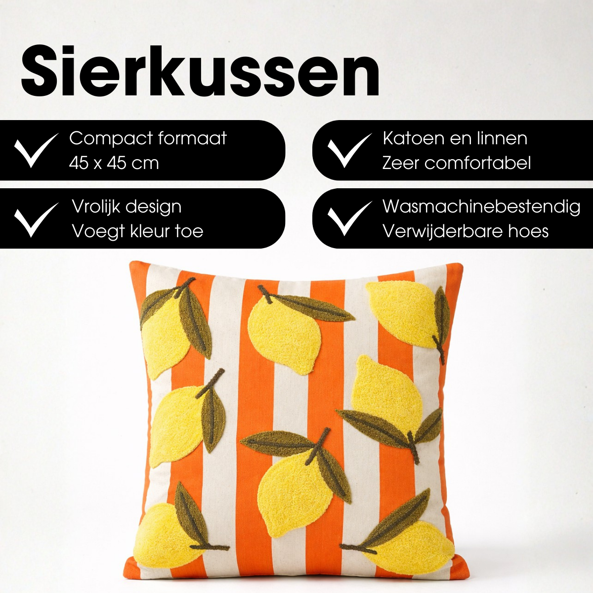 Sierkussen  Meerkleurig